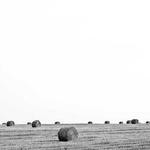 Manuela Douglas Profile Picture