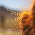 Aiden Feil Profile Picture