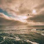 Zack Wunsch Profile Picture