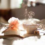 Evalyn McClure Profile Picture