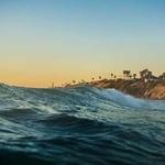 Velva Labadie Profile Picture