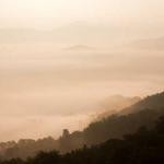 Manuel Barton Profile Picture