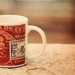 Shanel Fay Profile Picture