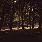 Alfreda Skiles Profile Picture