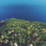 Trycia Schamberger Profile Picture