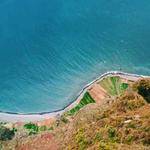 Brando Flatley Profile Picture