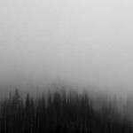 Melany Schowalter Profile Picture