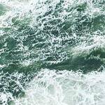 Kade Green Profile Picture