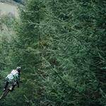 Stefanie Hirthe Profile Picture