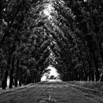 Ray Upton Profile Picture