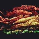 Mathew Welch Profile Picture