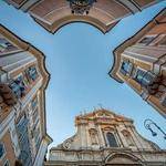 Melany Stehr Profile Picture