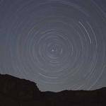 Emery Walsh Profile Picture