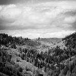 Joana Schmitt Profile Picture