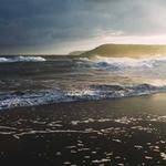 Nellie Adams Profile Picture