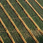 Garrett Roberts Profile Picture