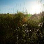 Sim Tromp Profile Picture