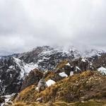 Felicia Lang Profile Picture