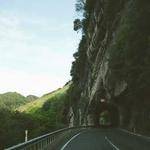 Kellie Larson Profile Picture