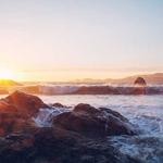 Nikko Nikolaus Profile Picture