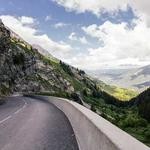 Domenick Flatley Profile Picture