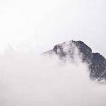 Cristobal Lowe Profile Picture