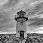 Adrien Raynor Profile Picture