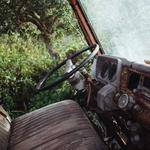 Judge Frami Profile Picture