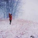 Felicia Goodwin Profile Picture