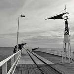 Winston Bergstrom Profile Picture