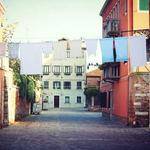 Aylin Predovic Profile Picture