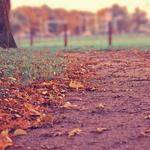 Sonia Schowalter Profile Picture