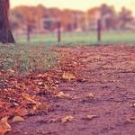 Sonia Schowalter Profile Picture