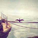 Grady Douglas Profile Picture