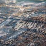 Maci Baumbach Profile Picture