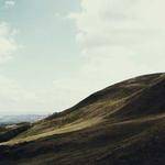 Baylee Grant Profile Picture