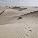 Nash Pfeffer Profile Picture