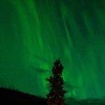 Maddison Wisozk Profile Picture