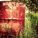 Monserrat Kub Profile Picture