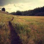 Gracie Weimann Profile Picture