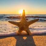 awddd asaw profile picture